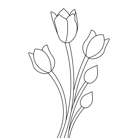 tulip outline|Tulip Outline Photos, Download The BEST Free Tulip Outline